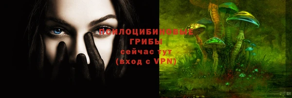 каннабис Белокуриха