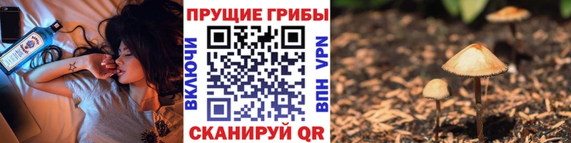 Галлюциногенные грибы Magic Shrooms  Кудрово 