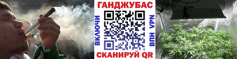 где купить наркоту  Кудрово  МАРИХУАНА план 